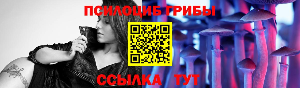 Коммунар  Галлюциногенные грибы Cubensis  закладка  Вход с VPN 